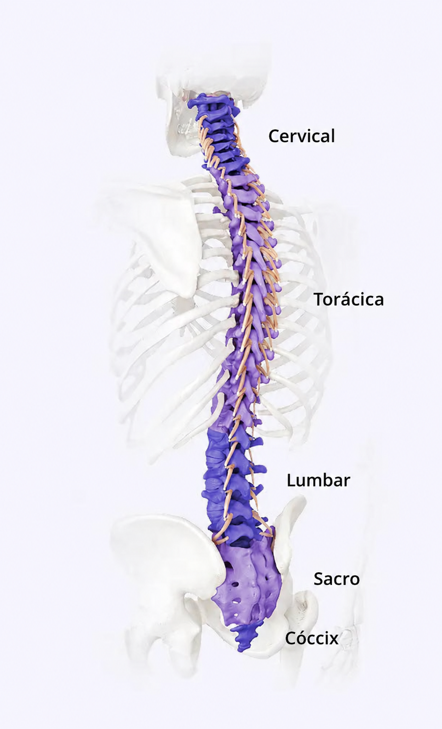 Foto del instructor durante su recuperación