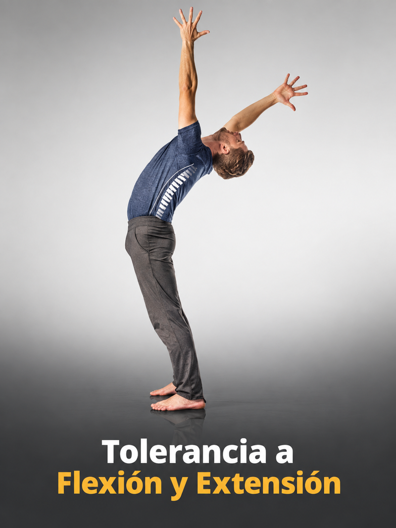Test de tolerancia a la flexión y extensión